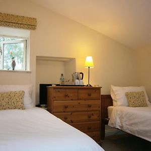 Popular Twin Room